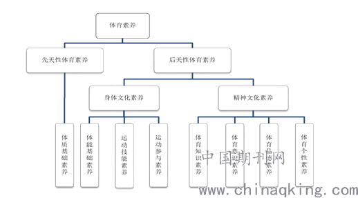 体育与农村的娱乐方式有哪些关系