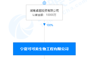 一肖一码公开资料,一肖一码公开资料与调整细节执行方案——以Kindle72.259为引领,科技评估解析说明_SP84.936