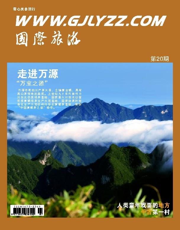 国际旅游杂志,国际旅游杂志，经典解释与落实基础版 67.869,新兴技术推进策略_D版16.358