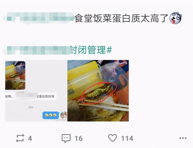 大学食堂被骂上热搜