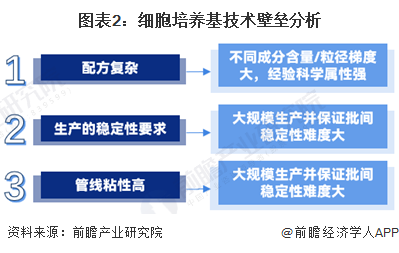 2024年全年资料