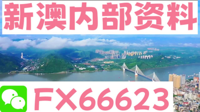 2024新澳管家婆精准大全四不象,探索未来的智慧，2024新澳管家婆精准大全四不象解析与经典落实基础版,权威诠释推进方式_tShop42.54.24