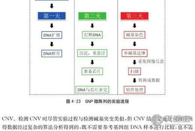 国家儿童医学中心有几个医院,国家儿童医学中心医院数量及其理念解答解释落实,定性分析解释定义_豪华版97.73.83