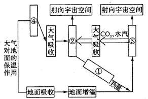 臭氧辐射有什么副作用