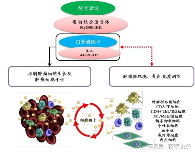 中药治肿瘤的药