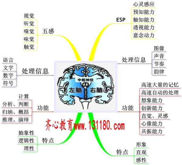 狗皮背心价格