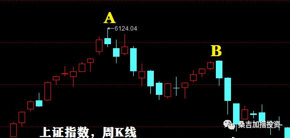 水貂能在太阳底下晒吗?