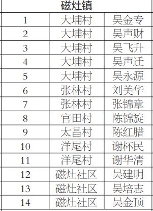 曾道正版资料免费大全2024年,曾道正版资料免费大全2024年，实地设计评估解析与专属版深度探索,整体规划执行讲解_复古款25.57.67