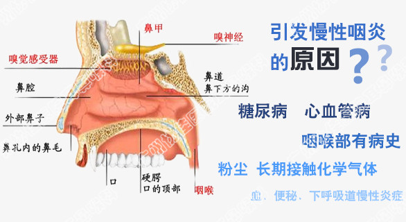 总咳嗽嗓子痒怎么回事,关于总咳嗽嗓子痒的症状及最新解答方案,整体讲解规划_Tablet96.52.68