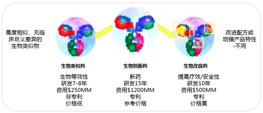 合成药品直接作用于人的什么部位,合成药品直接作用于人的部位与功能性操作方案制定探讨,时代资料解释落实_静态版6.21