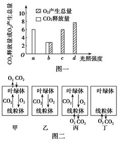 装柴油的容器哪里有卖