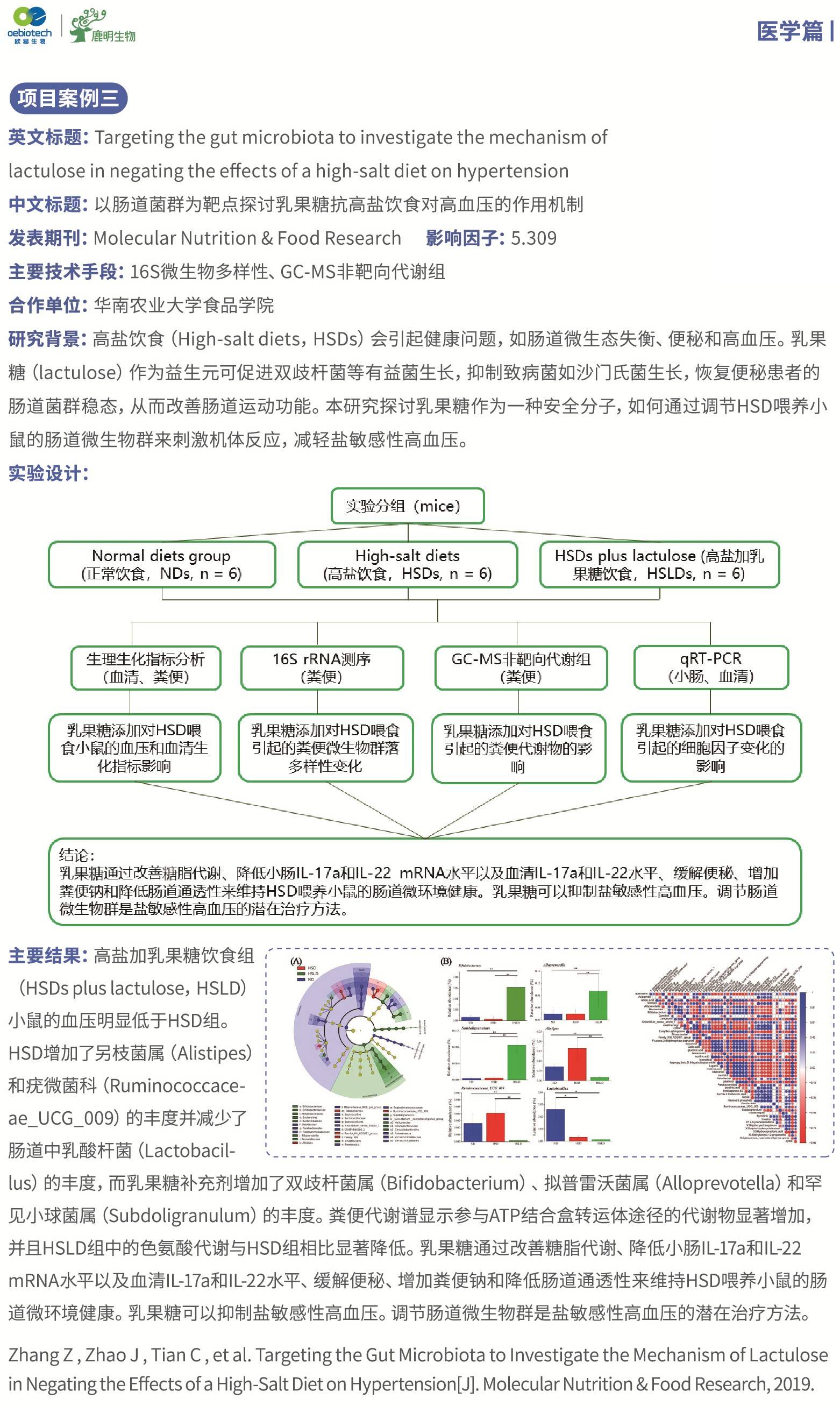 链条检测设备厂家