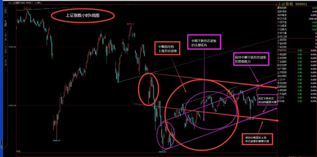 氨纶和绵纶哪个好,氨纶与绵纶对比，哪个更好？多元化方案执行策略探讨（C版10.420）,实地执行数据分析_粉丝款81.30.73