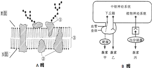 皮革废料与电热圈原理一样吗