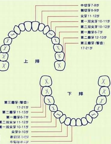 拔牙齿 多少钱