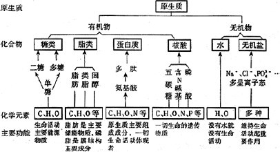 石英和酸反应吗