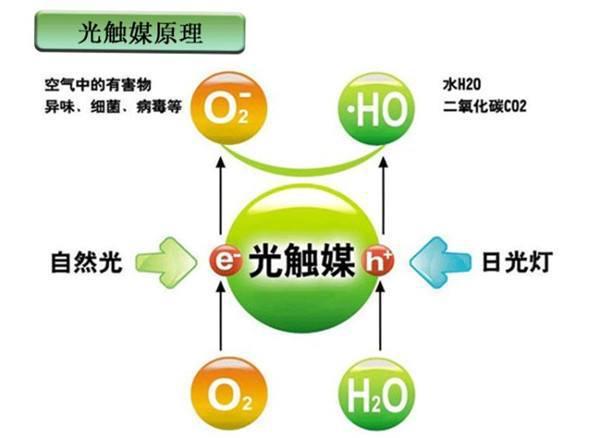 光触媒涂料厂家