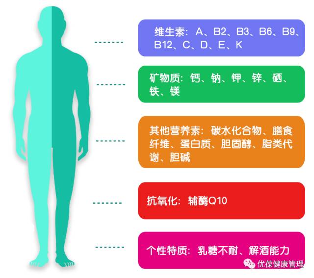 怎么才能减肥最快最有效