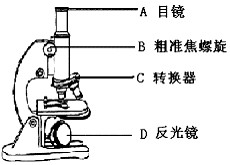 物镜和目镜需要配套使用吗?