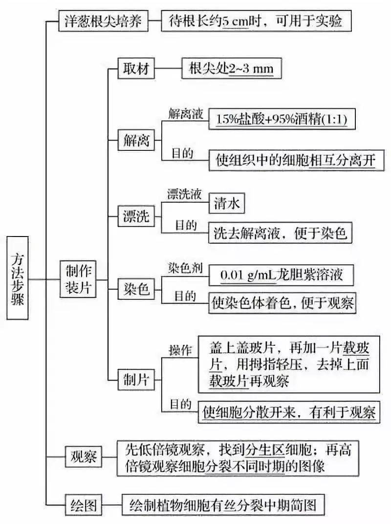 常用碱性染料