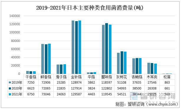 食用菌生产属于什么行业