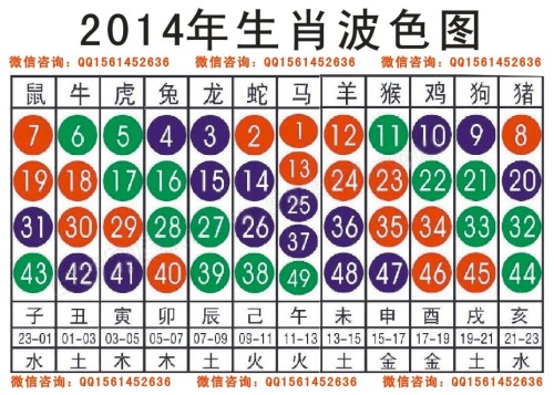 2025十二生肖49码表,揭秘十二生肖与数字世界的神秘联系，探索未来的十二生肖49码表与实时解答解析说明,迅速处理解答问题_升级版34.61.87