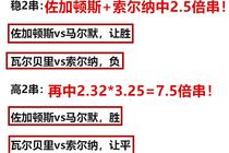 澳门一肖一特一码一中,澳门一肖一特一码一中与战略方案优化，探索成功的奥秘,权威诠释推进方式_tShop42.54.24