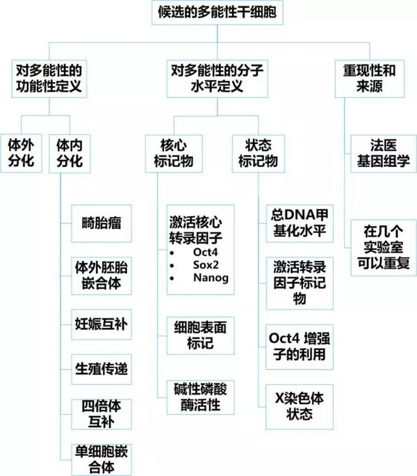 抓码王每期自己更新