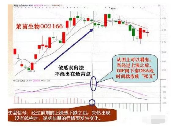 一码一肖100准确使用方法,一码一肖，科学研究解析与准确使用方法说明 —— AP92.61.27探索,新兴技术推进策略_D版16.358