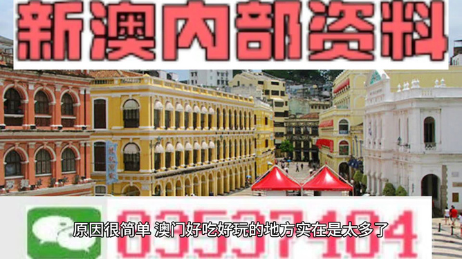 澳门最精准免费资料大全旅游团,澳门最精准免费资料大全旅游团，解析说明与理论分析,科技评估解析说明_SP84.936