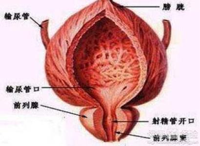 按摩前列腺痛