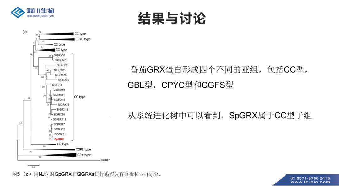 2025新奥天天免费资料,创新定义方案剖析_定制版81.81.95