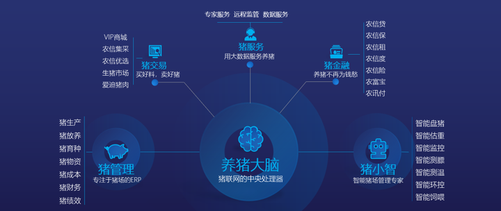 抓码王每期自己更新,实地分析数据设计_进阶款82.19.42