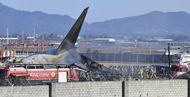 飞鸟撞机被列入A级航空灾难