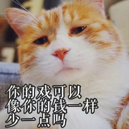 猫咪想吃饺子用爪子比划