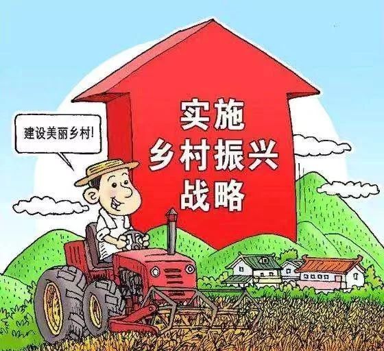 开创乡村全面振兴新局面