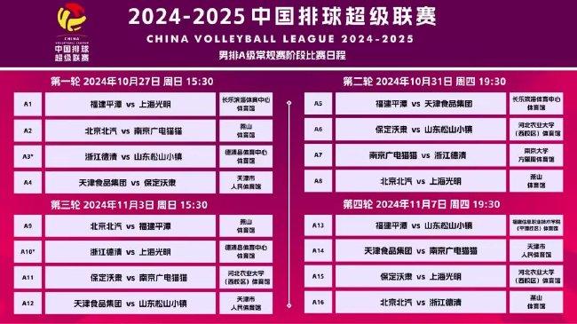 新澳门天天彩2025年全年资料