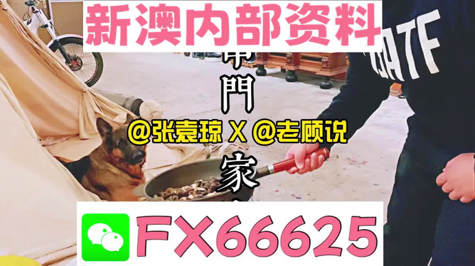 澳门正版管家婆资料大全