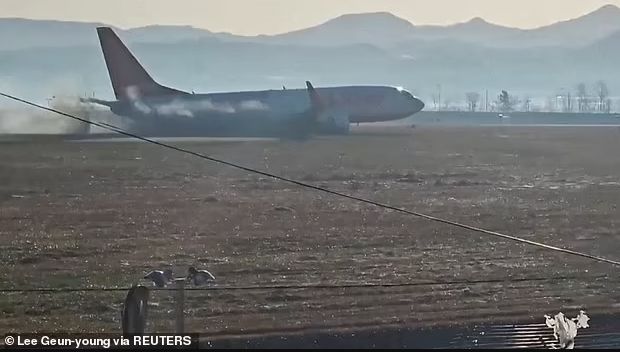 韩国空难机场跑道尽头为何有墙